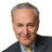 Chuck Schumer Image
